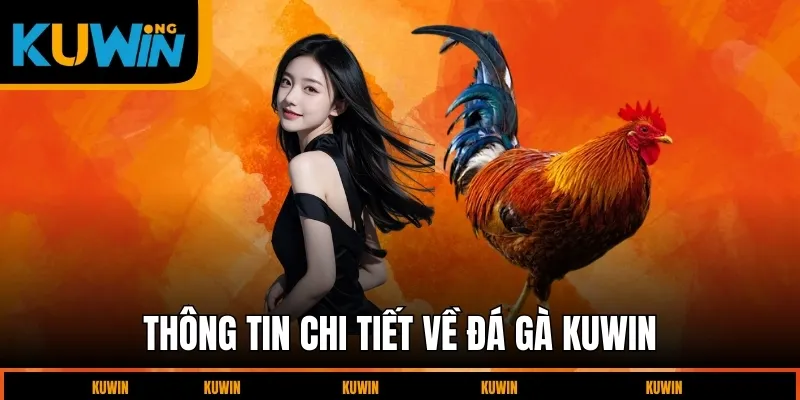 thong-tin-chi-tiet-ve-da-ga-kuwin