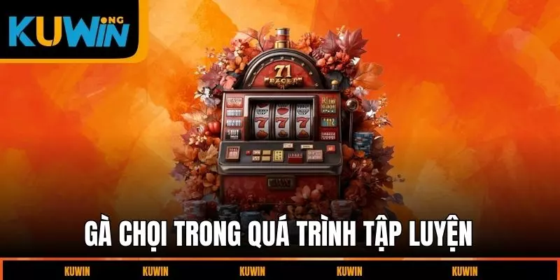 ga-choi-trong-qua-trinh-tap-luyen