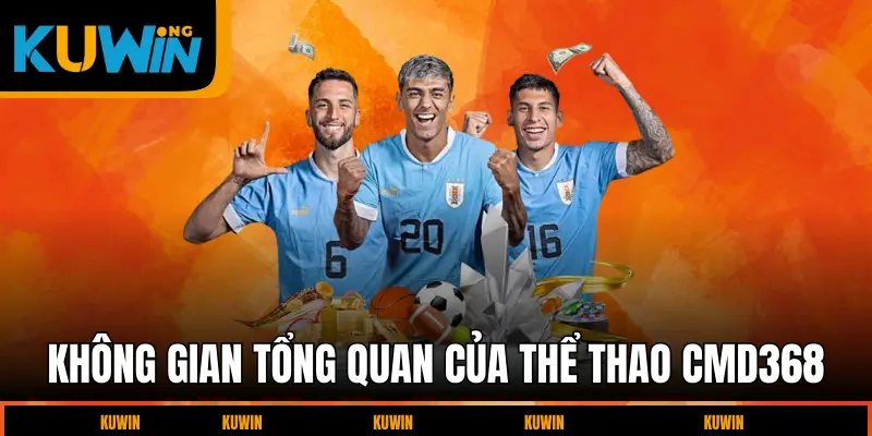 khong-gian-tong-quan-cua-the-thao-cmd368