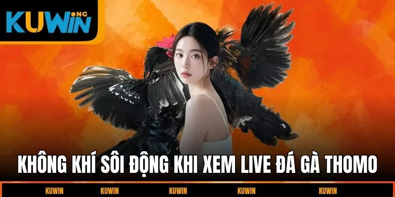 khong-khi-soi-dong-khi-xem-live-da-ga-thomo