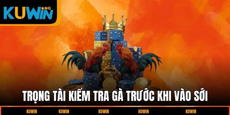 trong-tai-kiem-tra-ga-truoc-khi-vao-soi