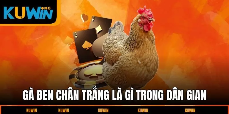 ga-den-chan-trang-la-ga-gi