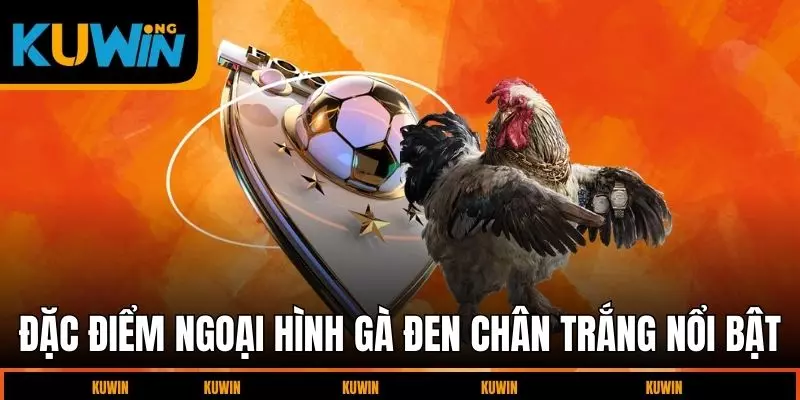 dac-diem-ngoai-hinh-ga-den-chan-trang-noi-bat