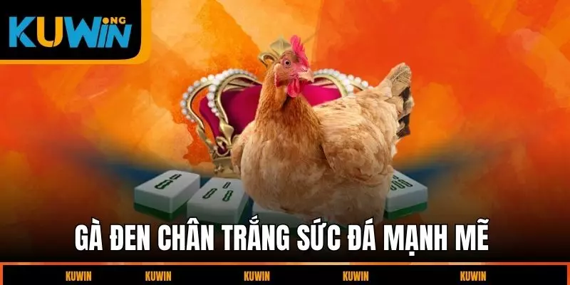 ga-den-chan-trang-suc-da-manh-me