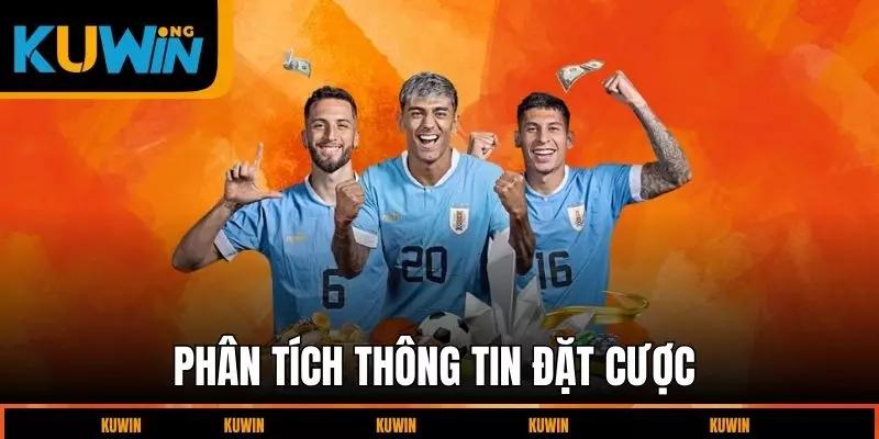 phan-tich-thong-tin-dat-cuoc
