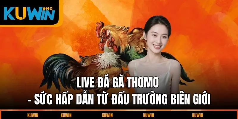 live-da-ga-thomo-suc-hap-dan-tu-dau-truong-bien-gioi