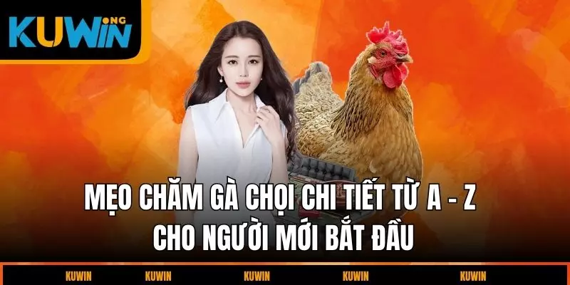 cham-ga-choi-chi-tiet-tu-a-z-cho-nguoi-moi-bat-dau